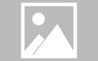 青海网页设计师周记（网页设计周记26篇300字）