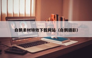 青海白鹅素材特效下载网站（白鹅摄影）